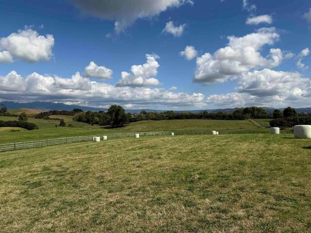 168 Gillard Road Ohaupo_1