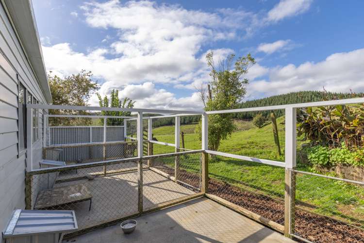 280 Dixon Road Te Akau_18