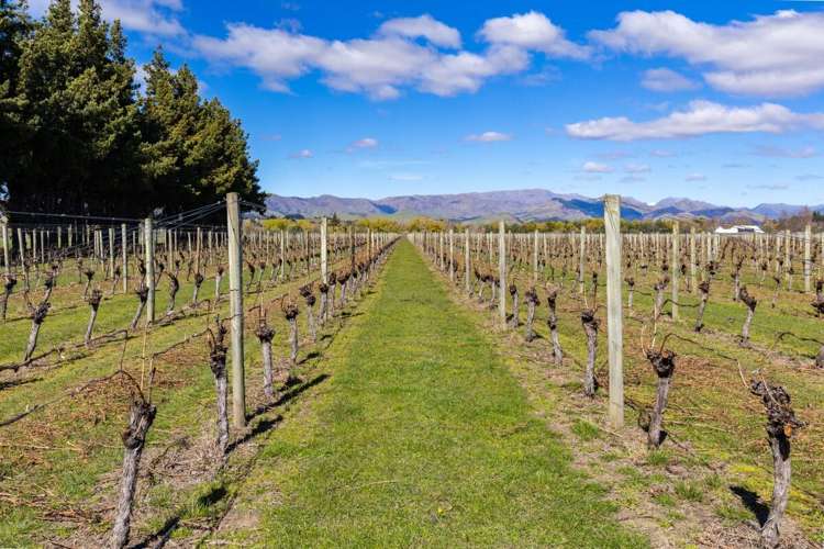 107 State Highway 63 Renwick_1