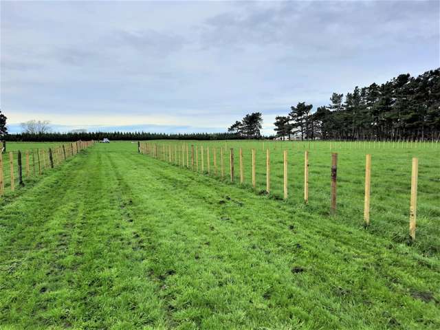 157 Motuiti Road Foxton_3