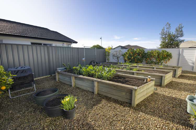 25 Kapiti Drive Poraiti_6