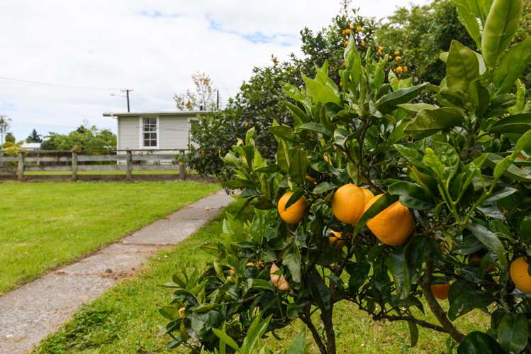 24 Main Street Marton_10