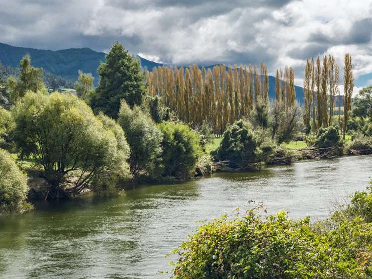 UK celebrity Noel Edmonds is showing off his life in New Zealand with his new documentary series, Noel Edmonds' Kiwi Adventures. Photo / ITV