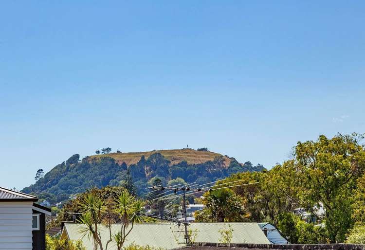 3/39 Shackleton Road Mount Eden_4