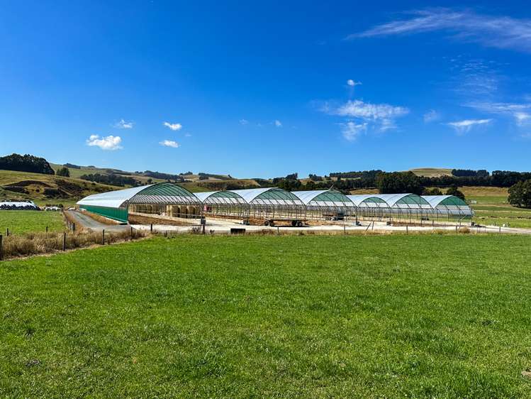 50 Mill Road Gore Surrounds_15