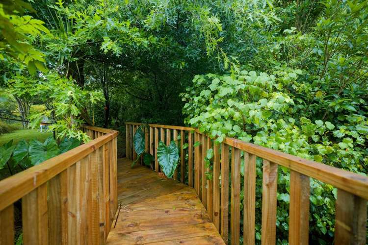 174D Lund Road Katikati_31