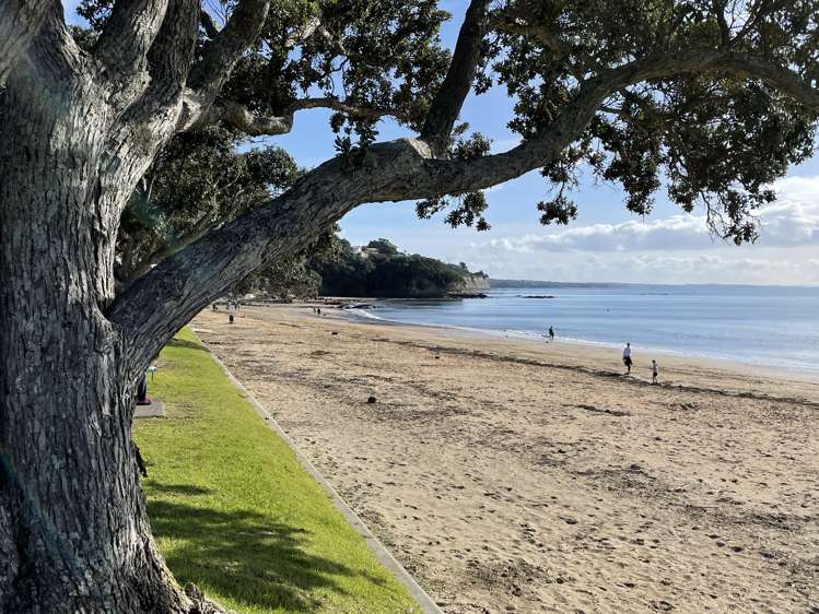 1/68 Lake Road Narrow Neck_11