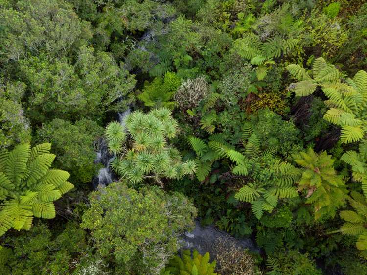 150 Mangati Road Puketotara_20