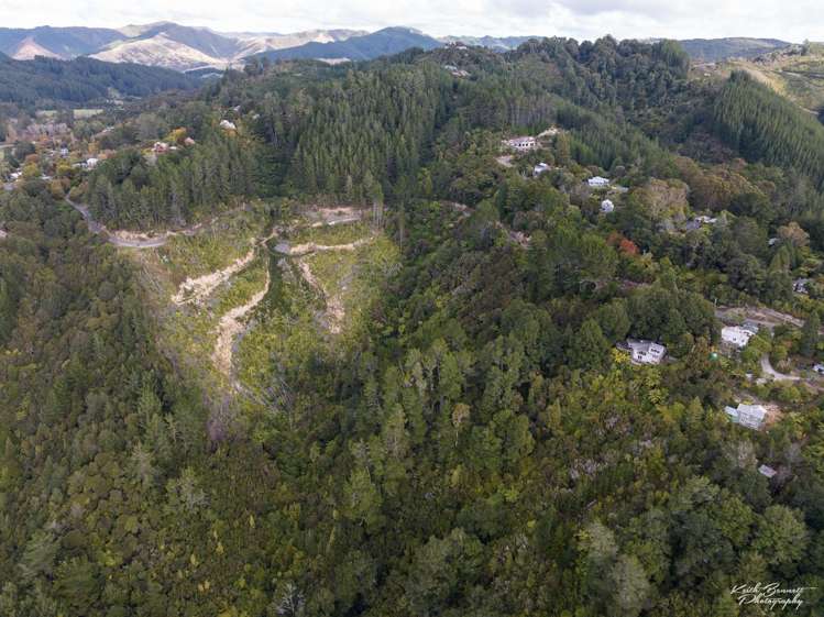 173, 175, 177, 181 Blue Mountains Road Blue Mountains_9