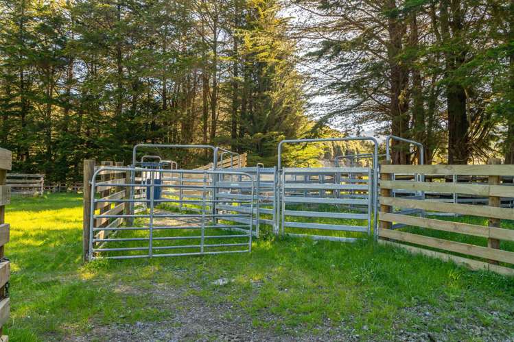 600 Hundalee Road Kaikoura_48