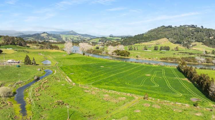90 Camp Road, Coroglen Tairua_7