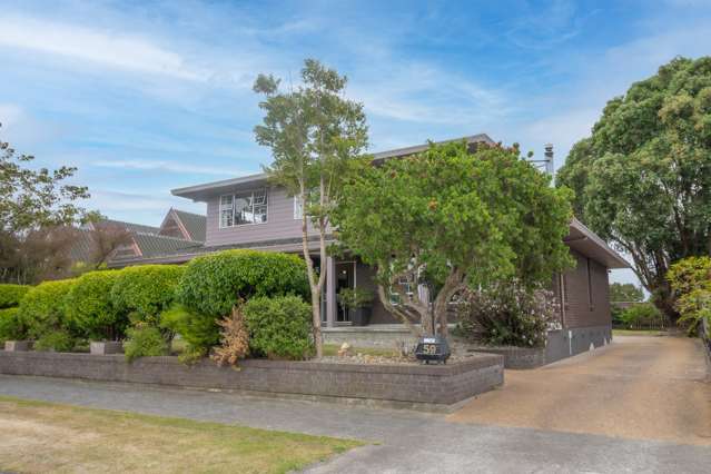 59 Dittmer Drive Awapuni_1