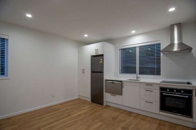 19 Commercial Road Grey Lynn_1