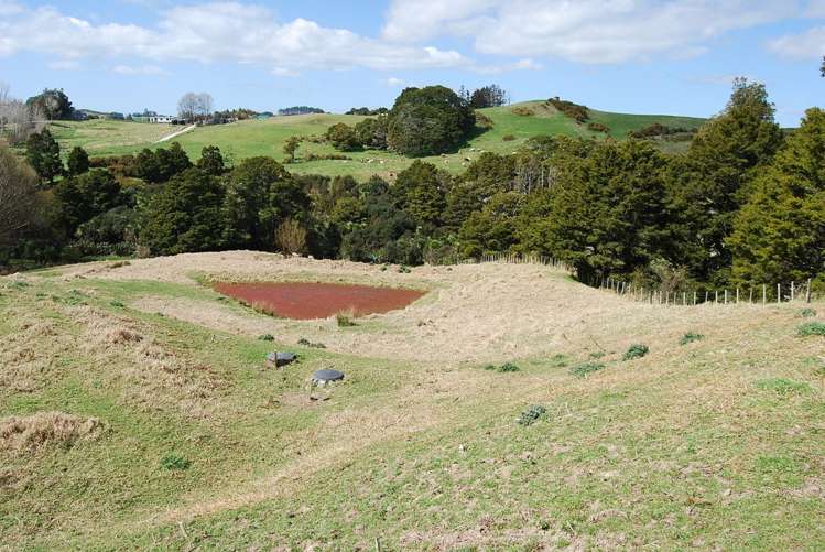 31 Lupis Way Kaiwaka_9