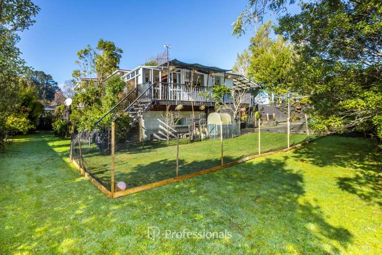 36 Black Beech Street Birchville_15