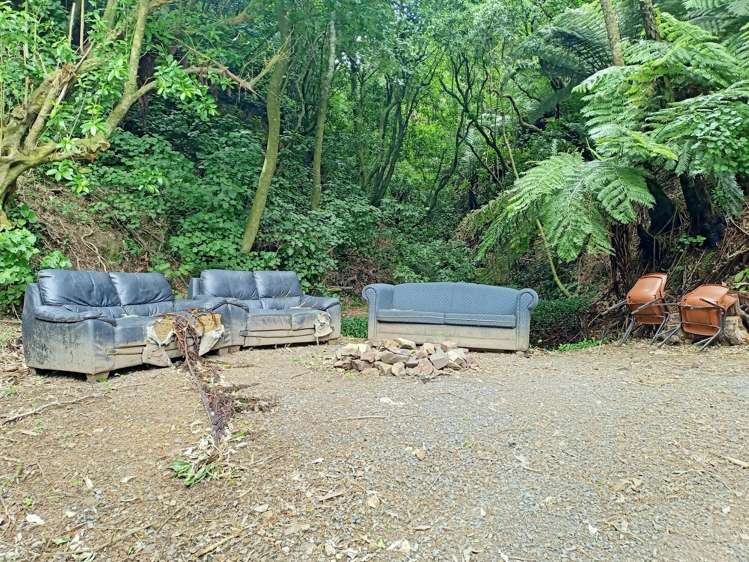13C Adams Terrace Aro Valley_3