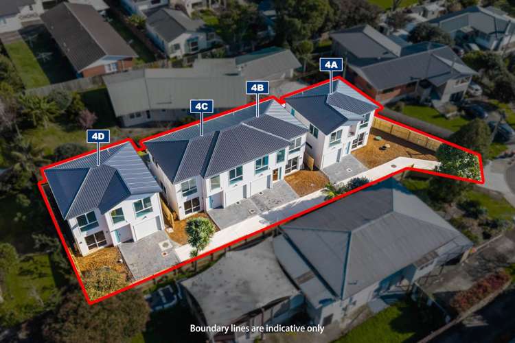 4b Collie Street Hill Park_21