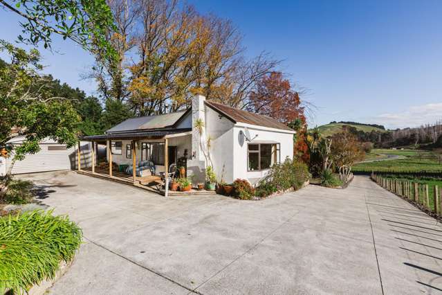 164 Hill Road Eskdale_1