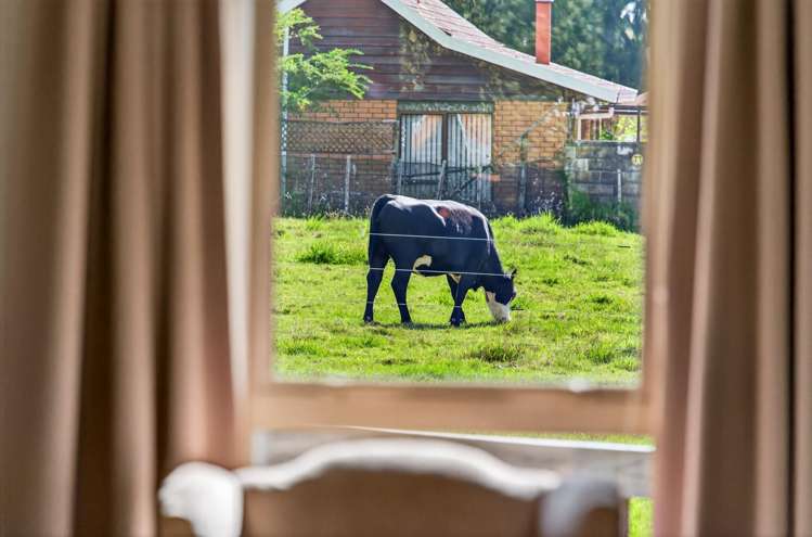 5 Davies Road Ramarama_29