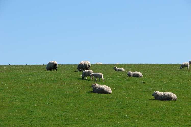 653 Grove Bush Woodlands Road Winton Surrounds_14