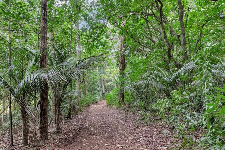 Lot 2, 106 Totara Park Lane Glenbervie_5