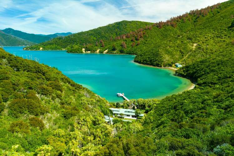 Ngaruru Bay, Tory Channel Queen Charlotte Sound_18