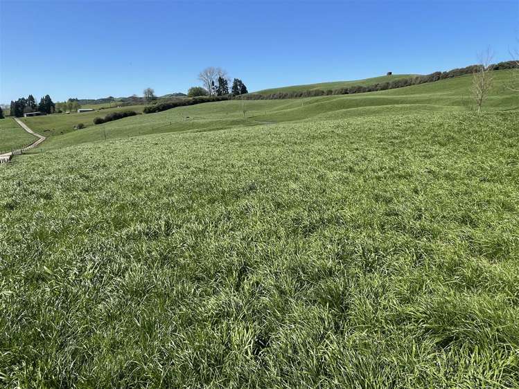 788 Troopers Road Te Kuiti_8