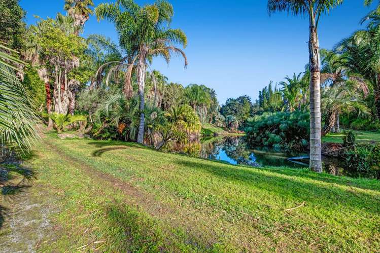 257 Pine Valley Road Dairy Flat_11