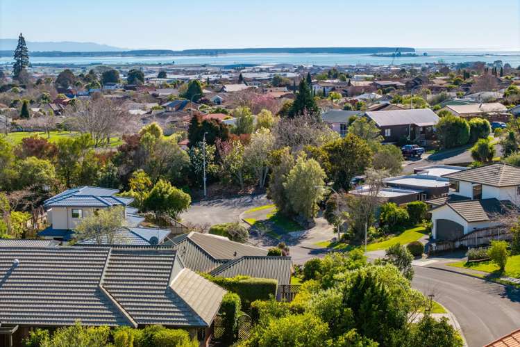 27 Idesia Grove_2