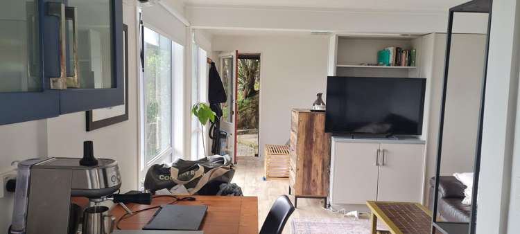 39B Robieson Street Roseneath_7