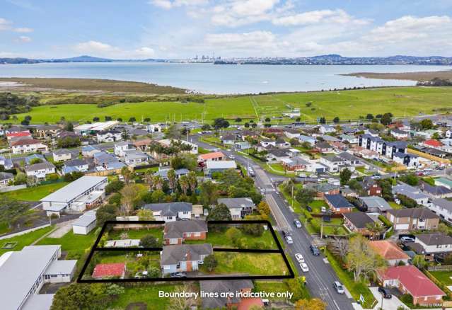 11 & 13 Toru Street Te Atatu Peninsula_1