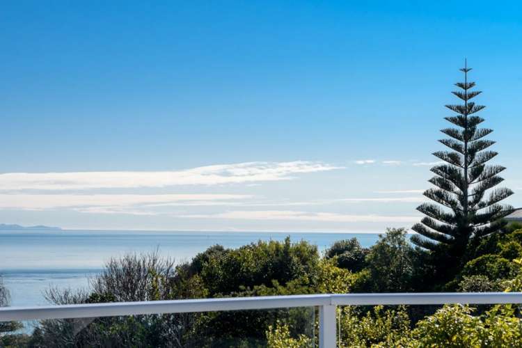 50 Stansell Avenue Tahunanui_11