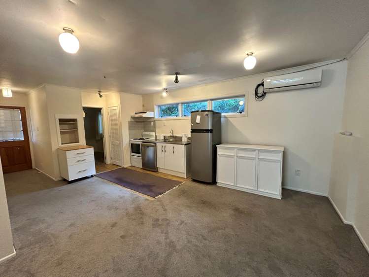 1/7 Agathis Avenue Mairangi Bay_1