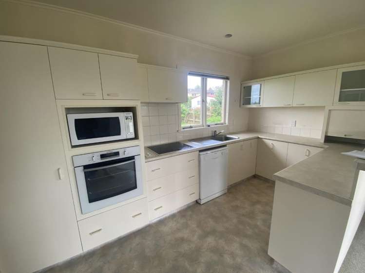19 Elizabeth Avenue Morrinsville_6