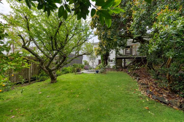 97 Halesowen Avenue Mount Eden_7