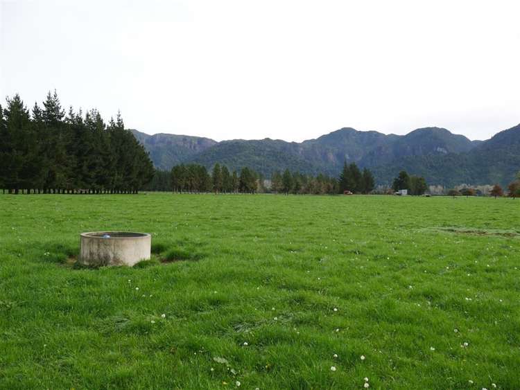 44 Wigzell Road Kahurangi National Park_10