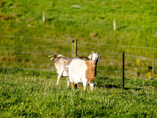 743 Bay Road Oxford_4