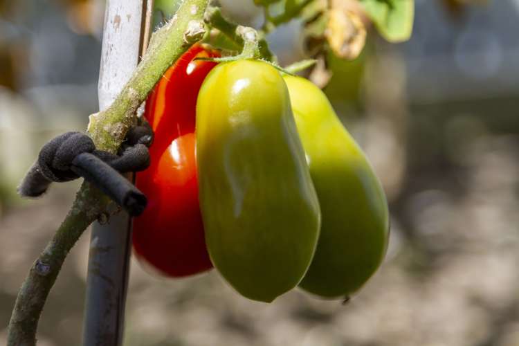 1 Aqua Way Paraparaumu_17