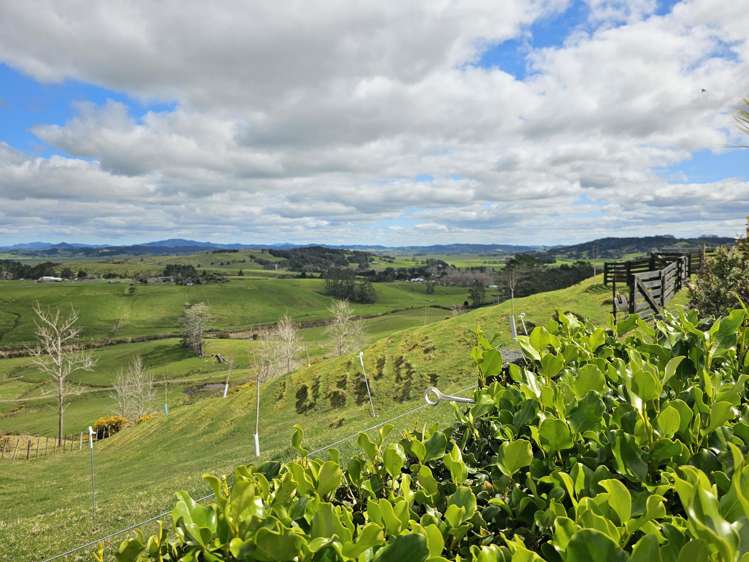 113C Marua Road Hikurangi_38