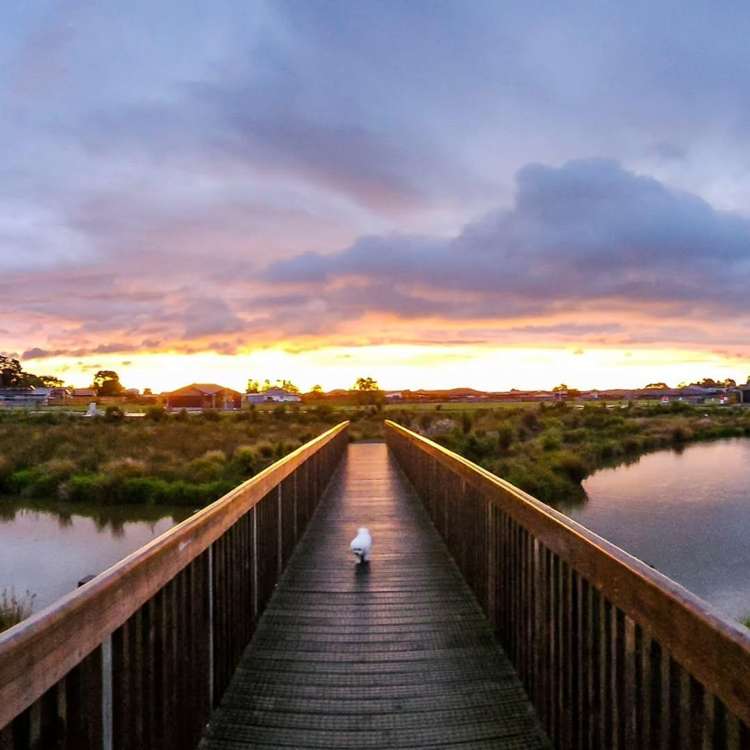 11 Pokerekere Crescent Kelvin Grove_6