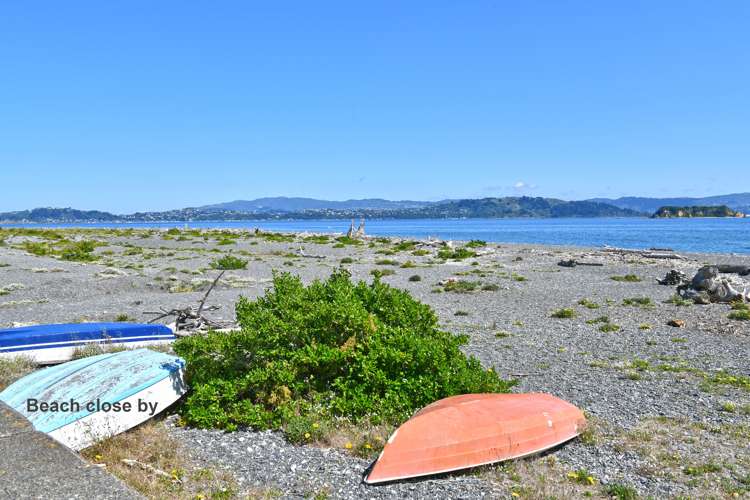 19 Miro Street Miramar_22