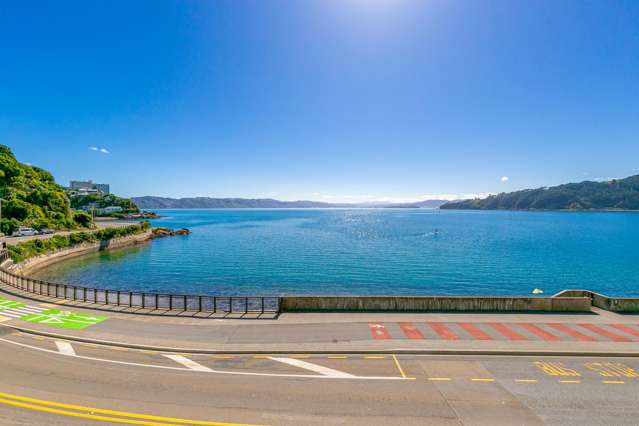 3/148 Evans Bay Parade Roseneath_3