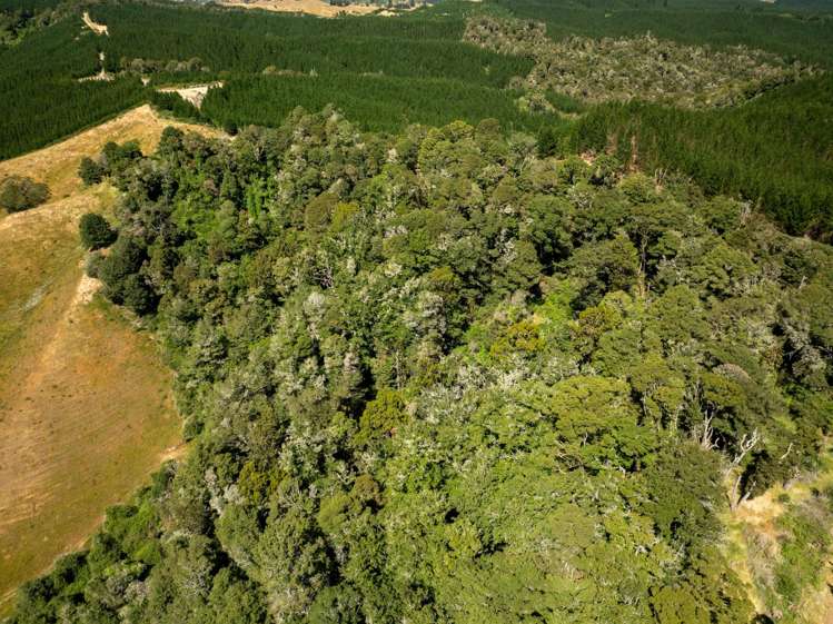 300 Sunday Creek Road Thorpe_47