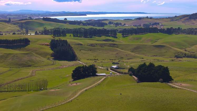 137 McLeods Road Palmerston_25