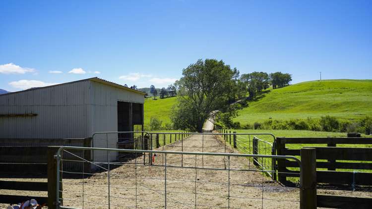 729 Waihi Whangamata Road Waihi_9