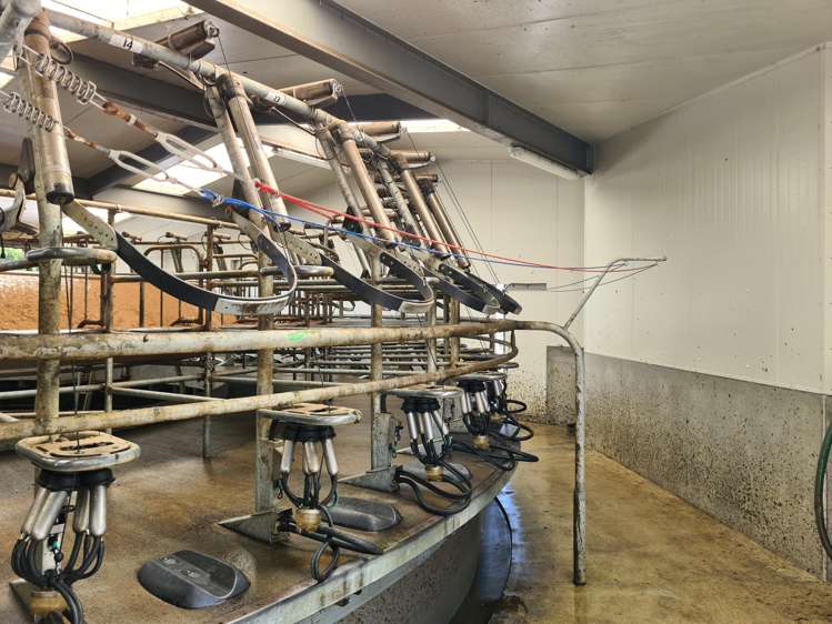 523/593 Warea Road Warea_11