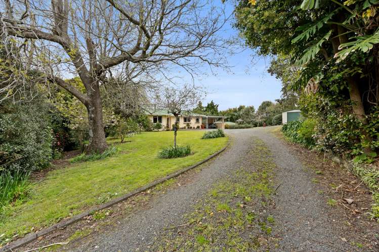 11 Udys Road Pakuranga Heights_41