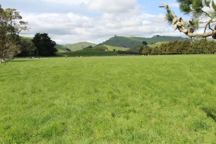 78 Waituna Road Pahiatua_17