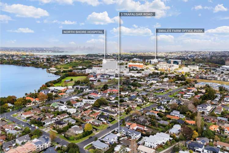 3 Trafalgar Road Milford_13