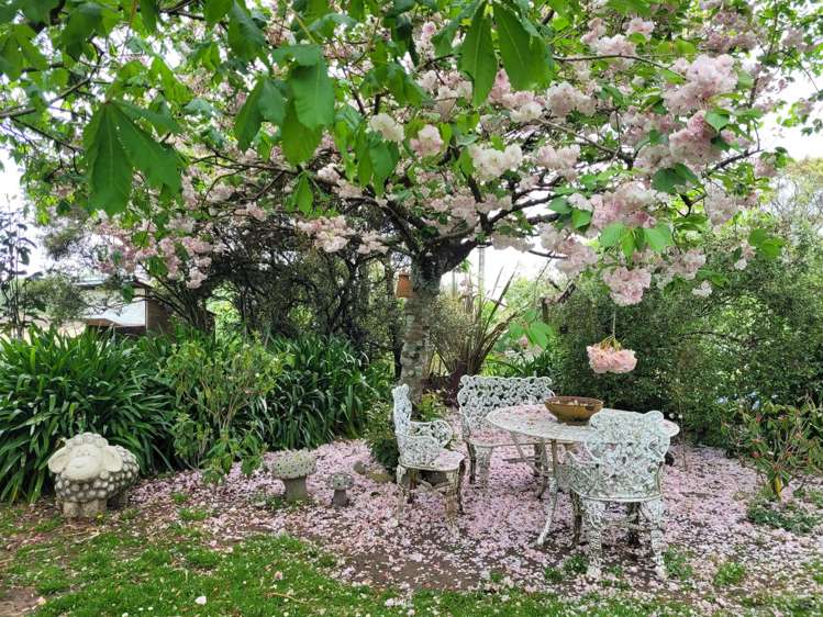 43 Queen Victoria Street Motueka_16